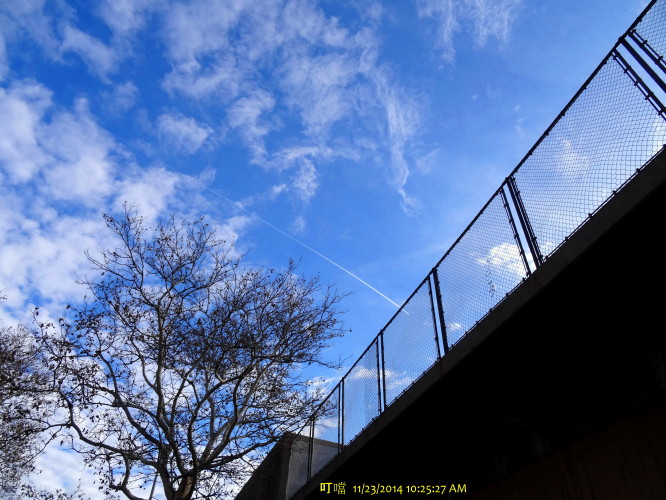 DSC04123a_1.jpg