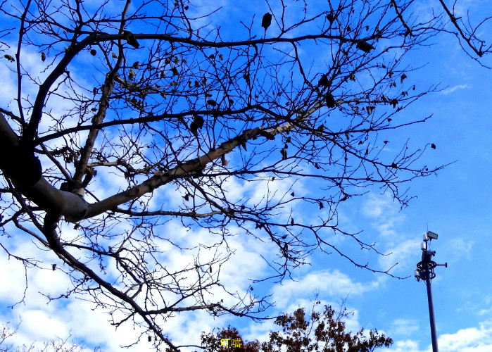 DSC04124a_1.jpg
