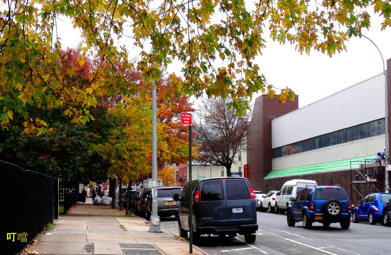 DSC04087a_1.jpg