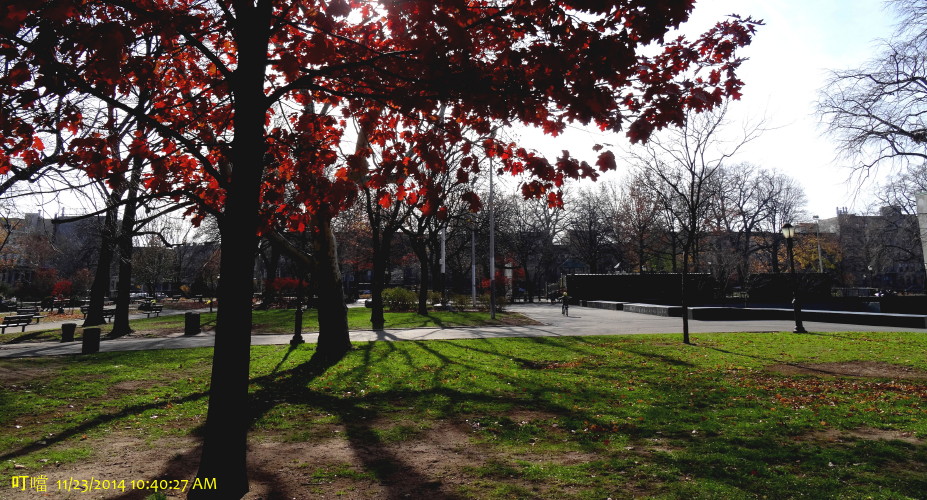 DSC04129a_1.jpg