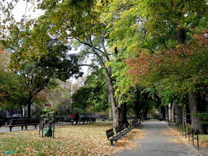 DSC03957a_1.jpg