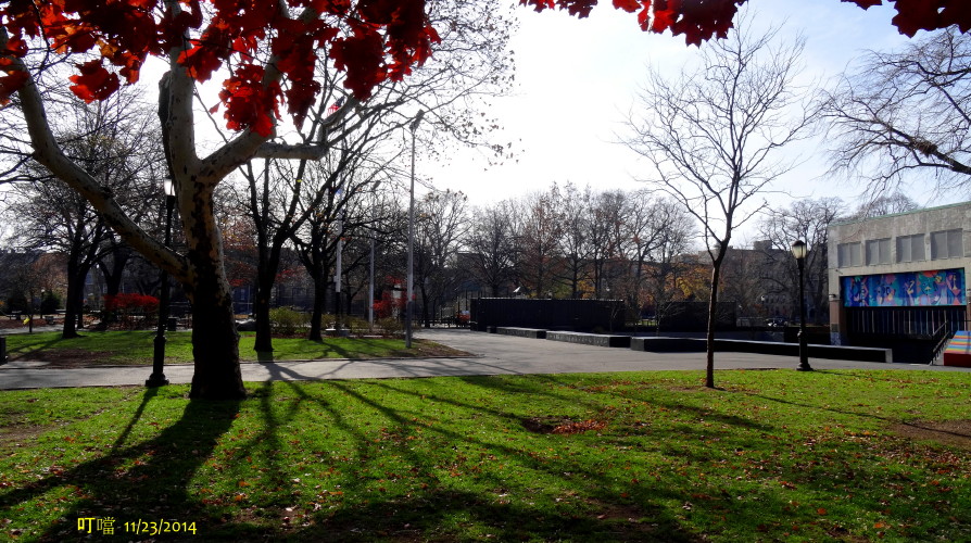 DSC04132a_1.jpg