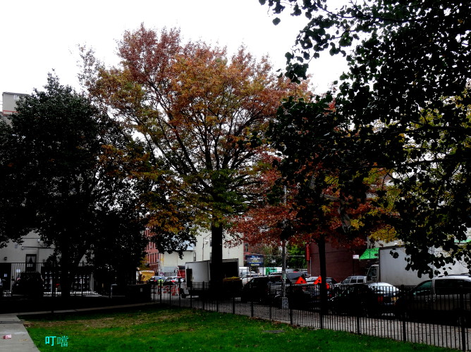 DSC04040a_1.jpg