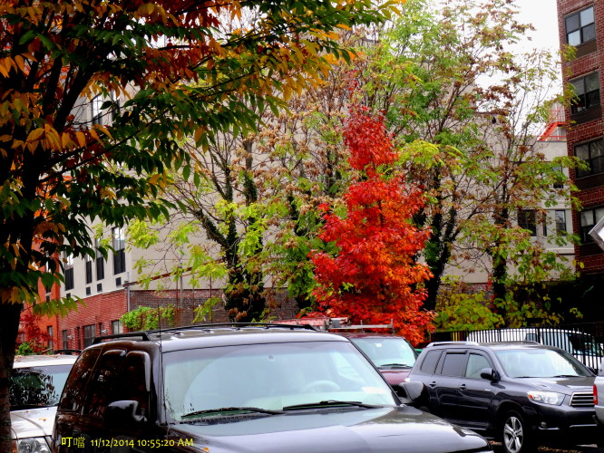 DSC04085a_1.jpg