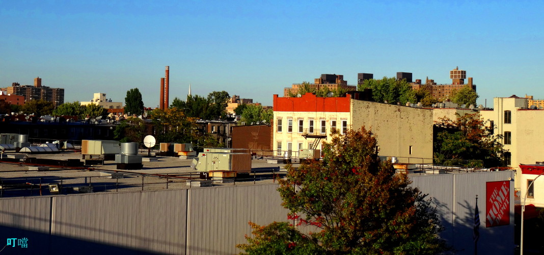 DSC03794aa_1.jpg
