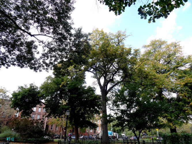 DSC03955a_1.jpg