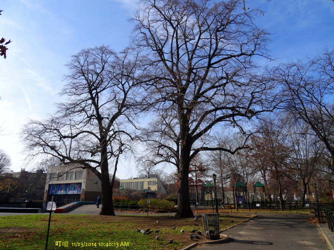 DSC04128a_1.jpg