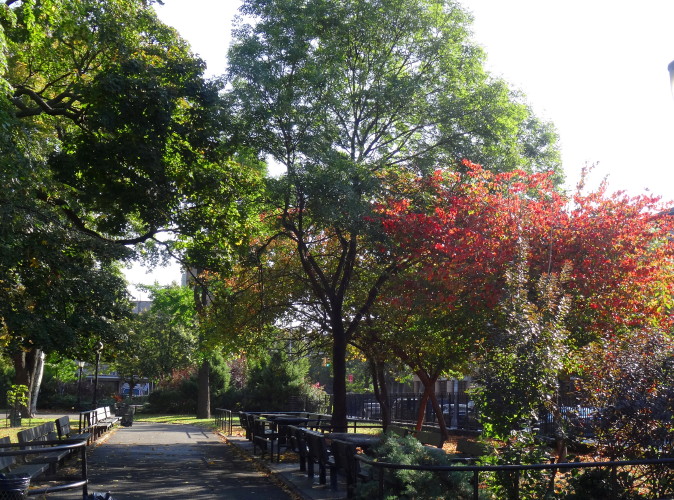 DSC03830a_1.jpg