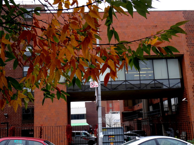 DSC04057a_1.jpg