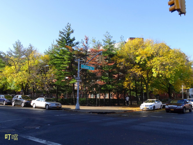 DSC03821a_1.jpg
