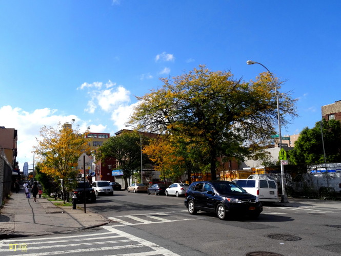 DSC03882a_1.jpg