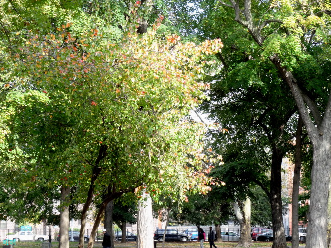 DSC03958a_1.jpg