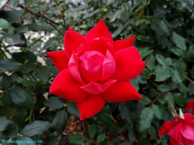 DSC04026a_1.jpg