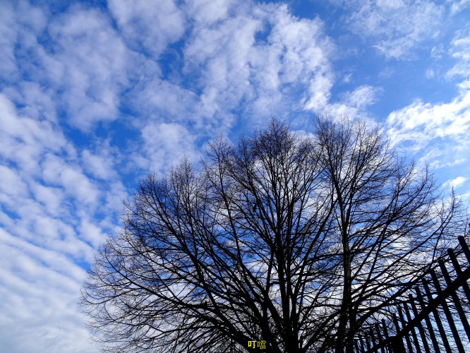 DSC04121a_1.jpg