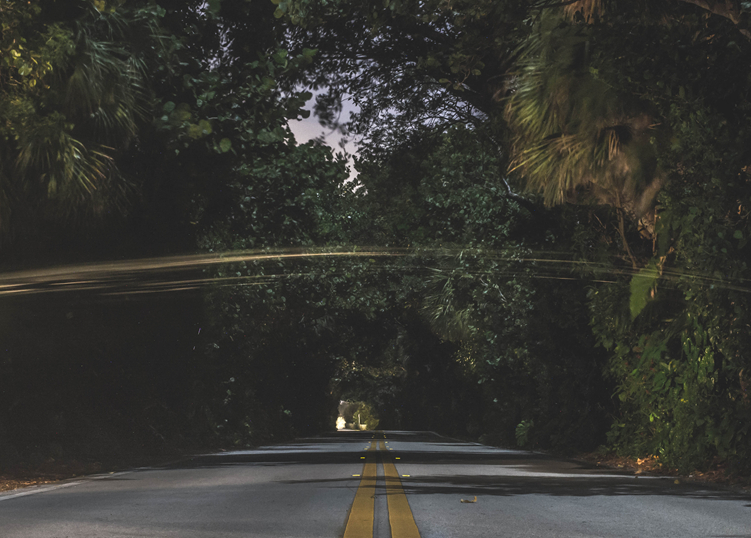 night (28)_����.jpg