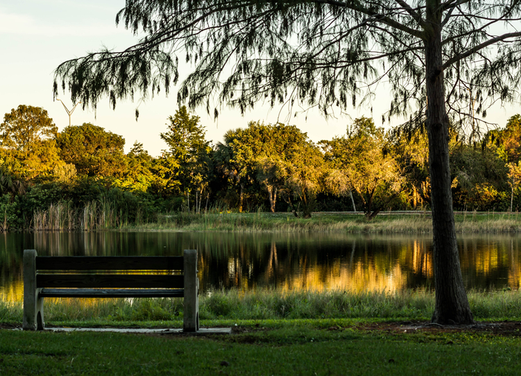 ll (18)_����.jpg