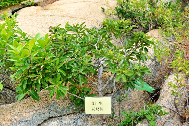 DSC_3573_conew1.jpg