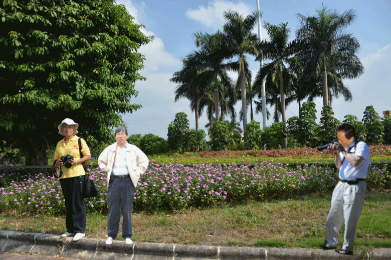 DSC_3346_conew2.gif