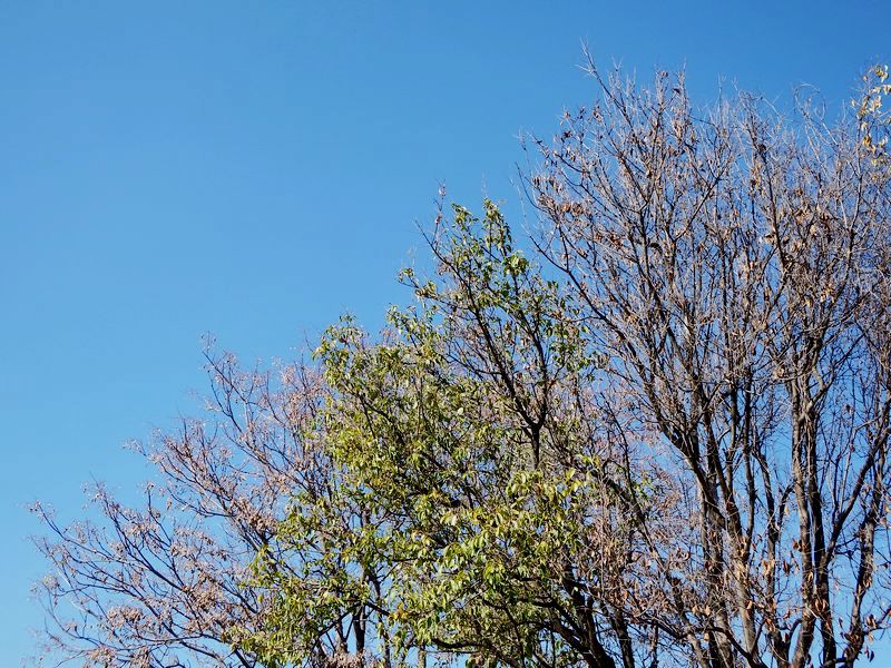 DSCF7741.jpg