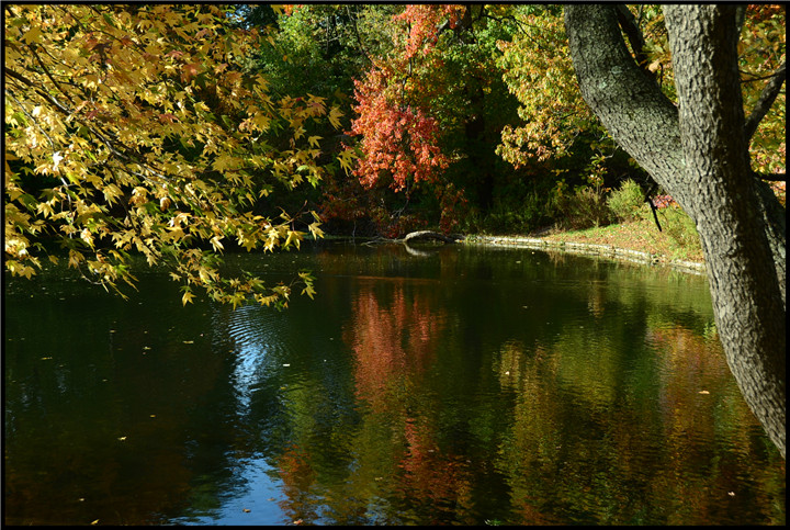 DSC_5484.jpg