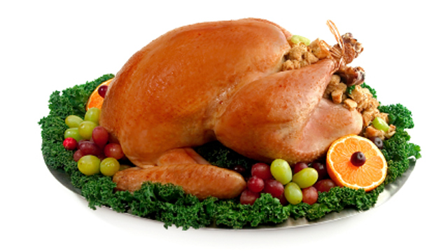 Thanksgiving--turkey.jpg