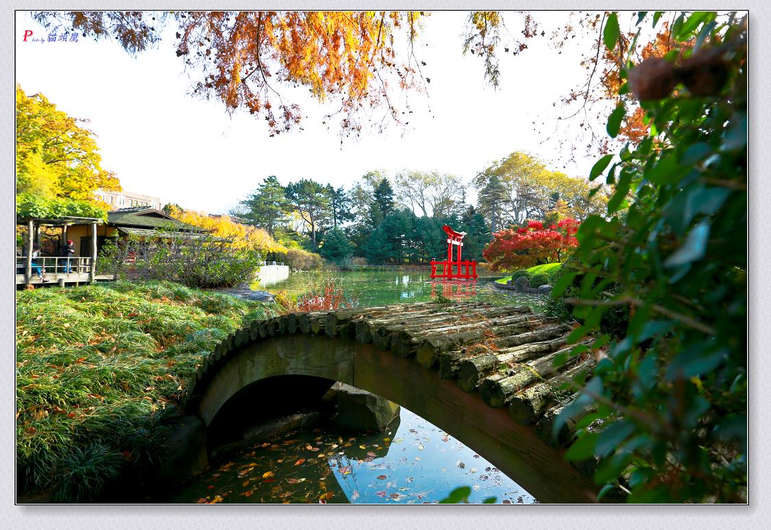 �}�u -11-8-2014��ɫ-1 233-2.jpg