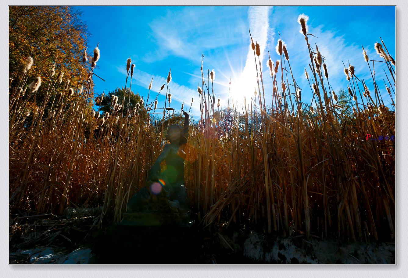 �}�u -11-8-2014��ɫ-1 055-2.jpg