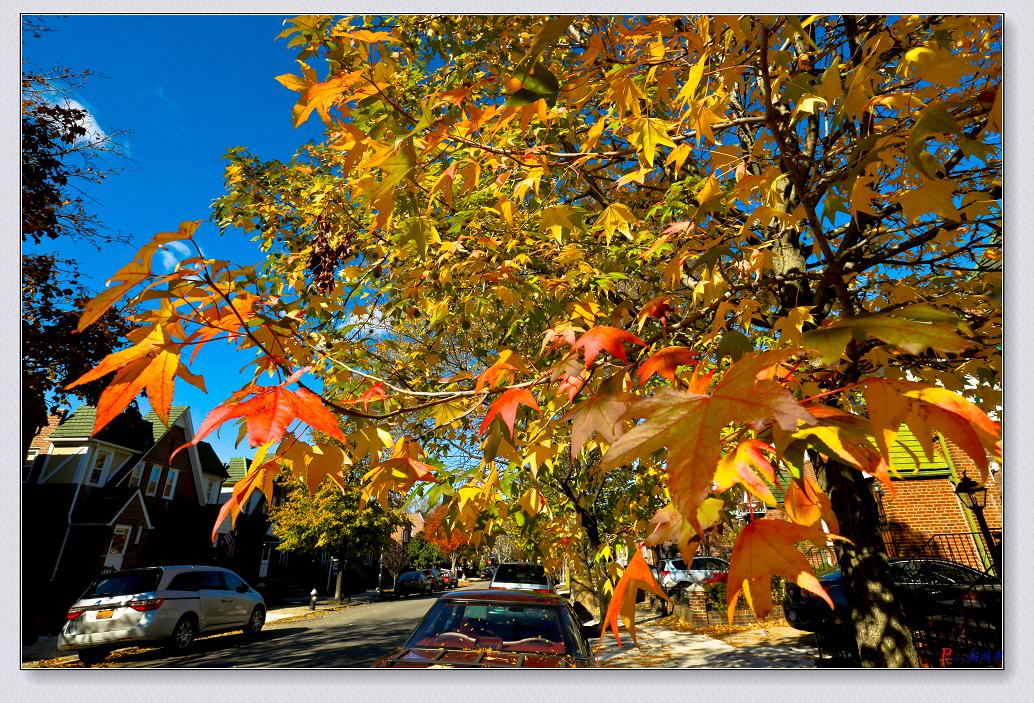 �}�u (2) -11-14-2014��ɫ-2 027-2.jpg