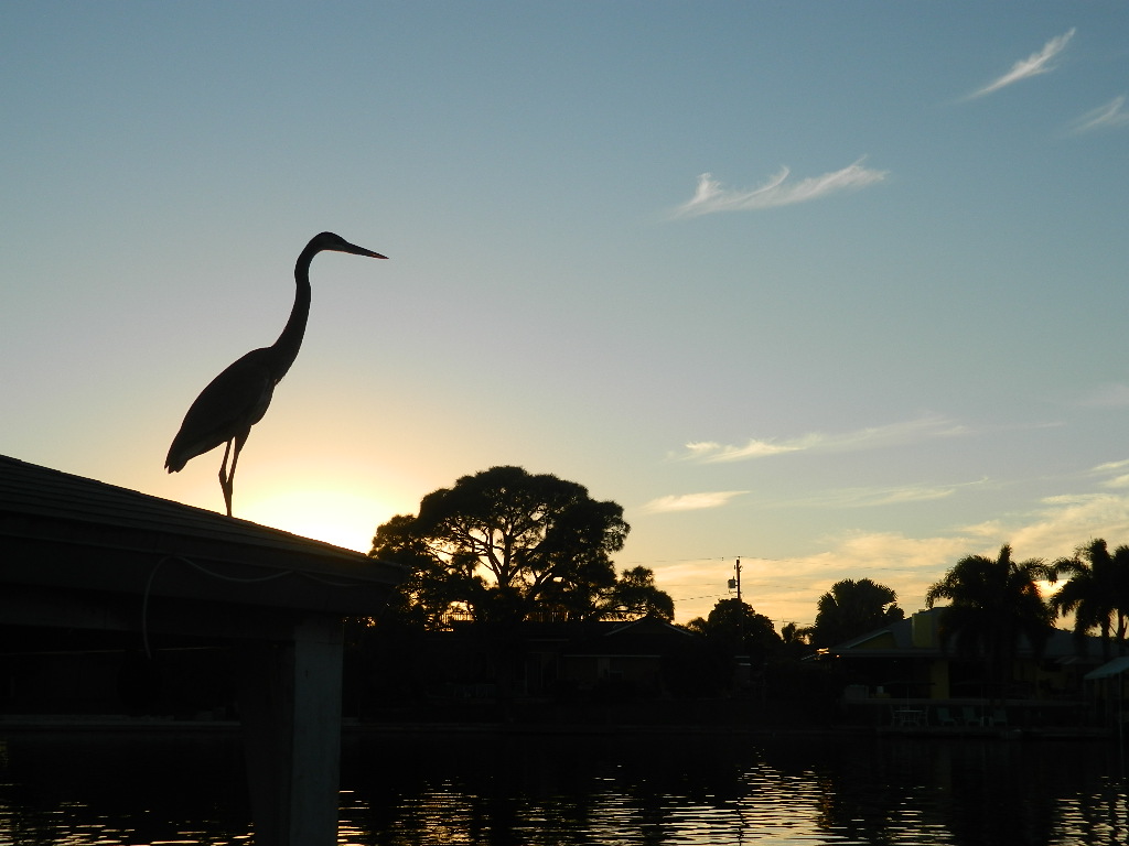 DSCN4628.JPG
