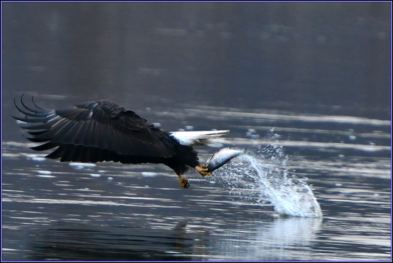 DSC_4027_.jpg