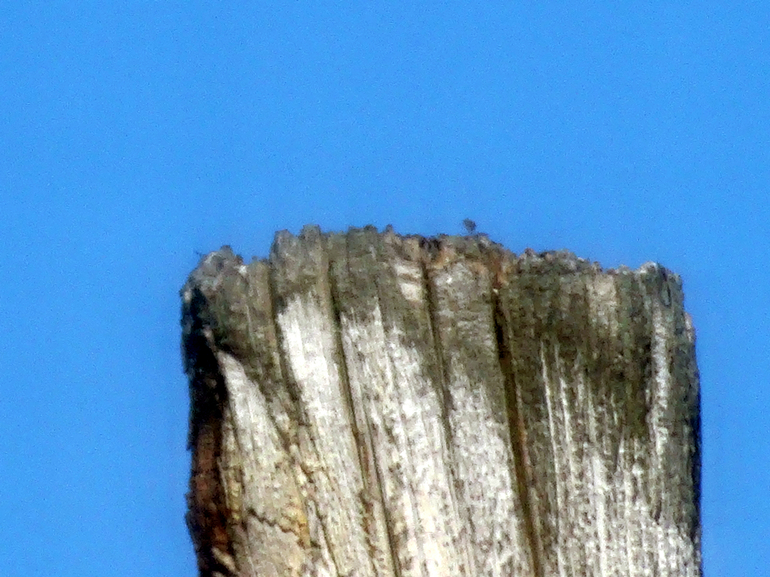 dsc08792_���� (2).jpg