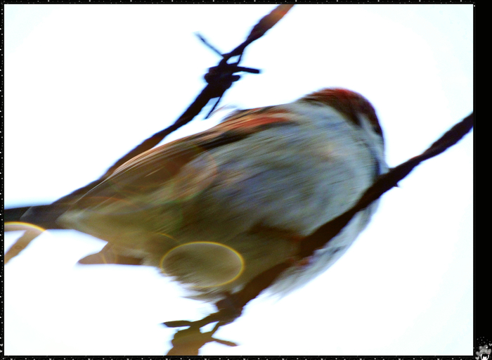 dsc08652_.jpg