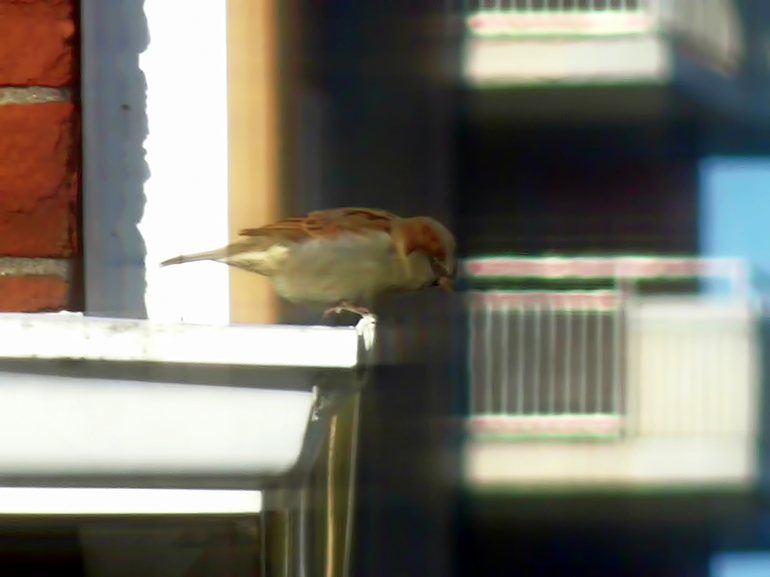dsc08791__.jpg