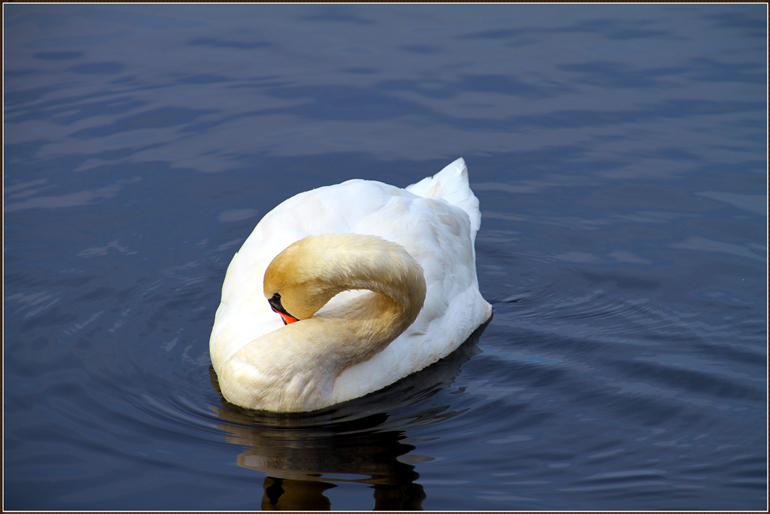 img_5642_.jpg