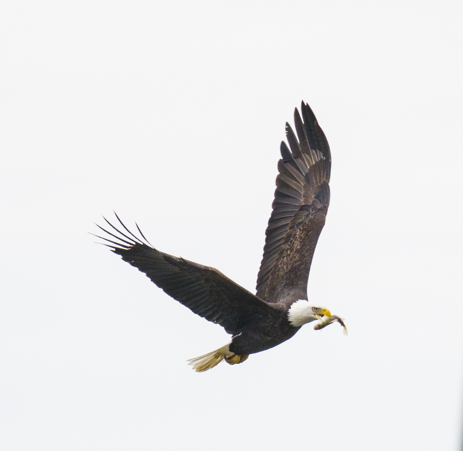DSC_1053a.jpg