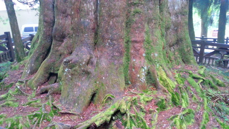 20141003_164816___.jpg