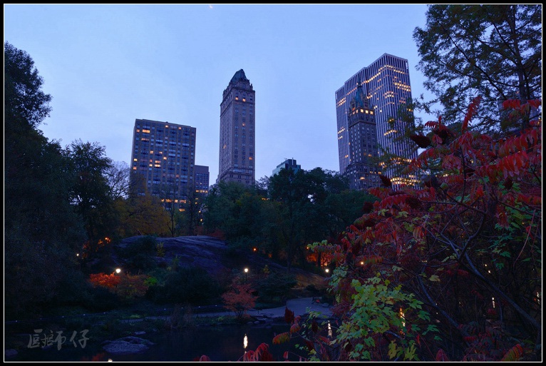 DSC_1134.jpg