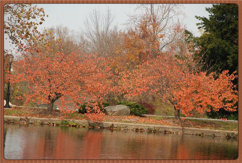 DSC_0128.jpg