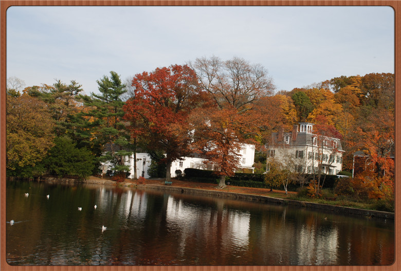 DSC_0132.jpg