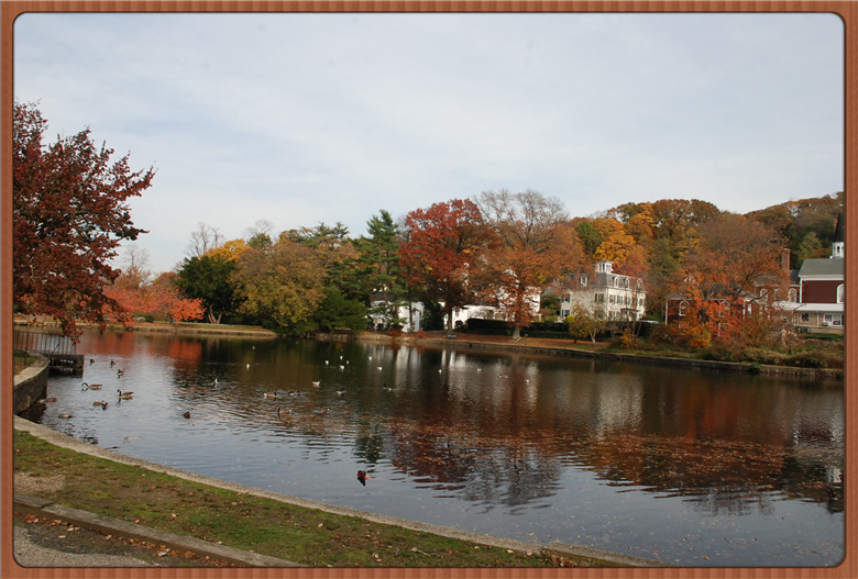 DSC_0125.jpg