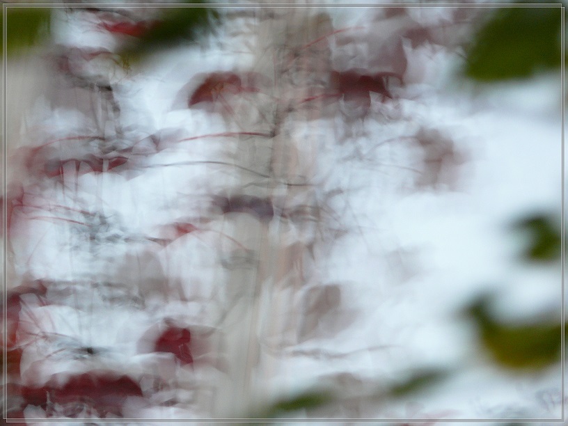 l1790752_conew1.jpg