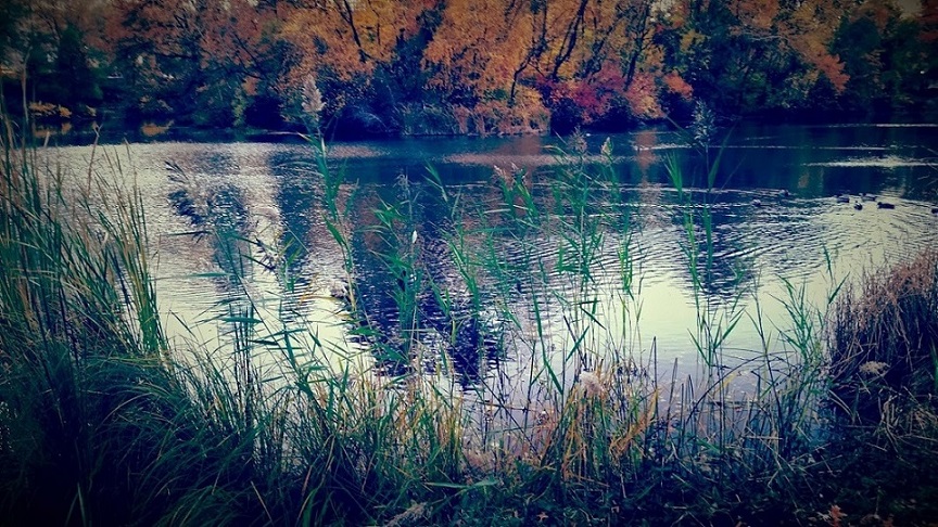 20141114_162811[2].jpg