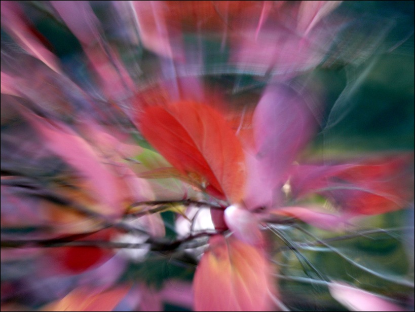 l1850979_conew2.jpg