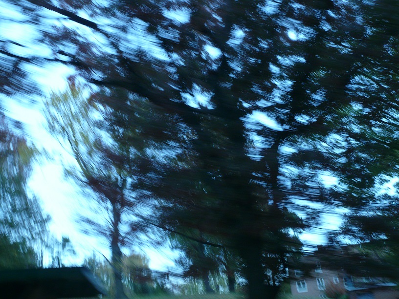 L1800677.JPG