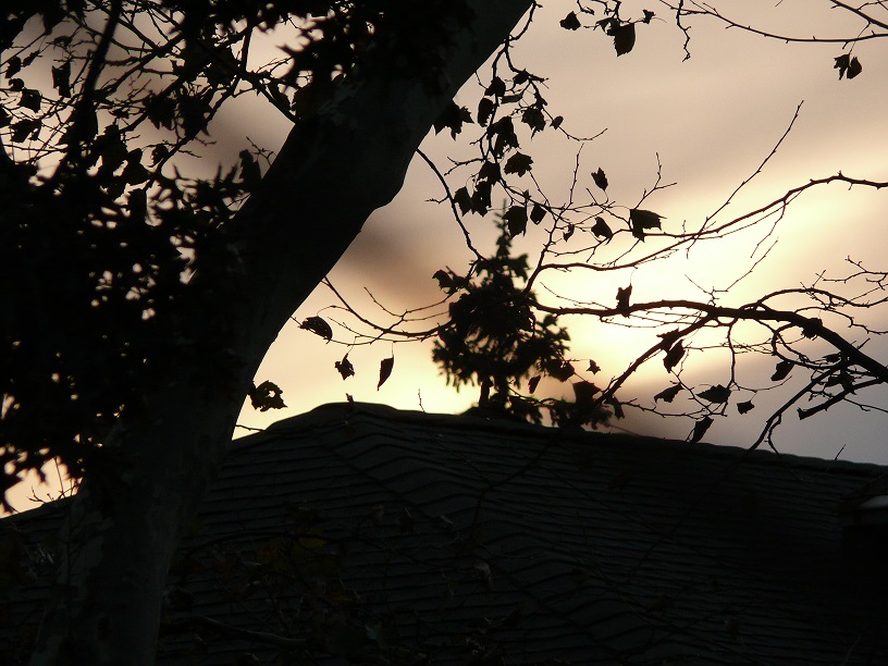 L1800729.JPG