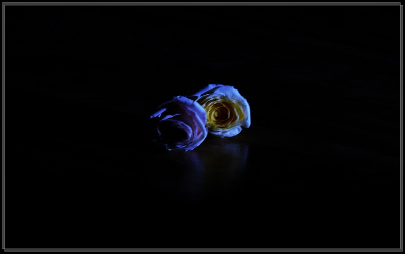 l1820473_conew1.jpg