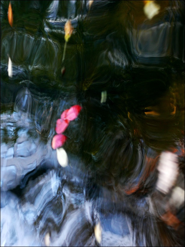 l1860291_conew1.jpg