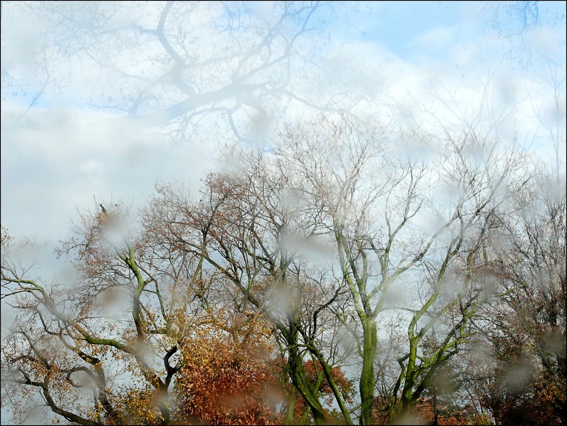 l1880329_conew1.jpg
