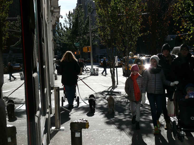L1780884.JPG