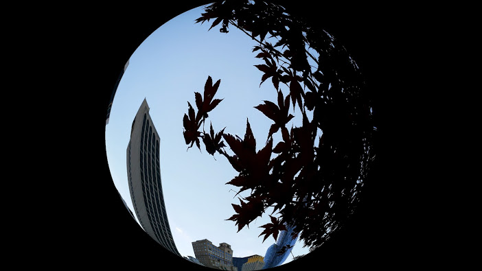 20141114_161458[1].jpg
